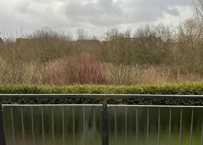 Seekuh 公寓 埃森斯